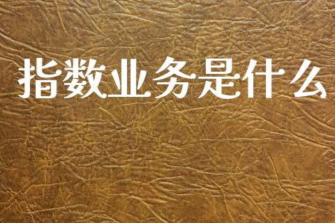 指数业务是什么_https://www.apanben.com_股票怎么玩_第1张