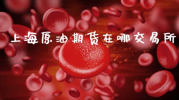 上海原油期货在哪交易所_https://www.apanben.com_财经资讯_第1张