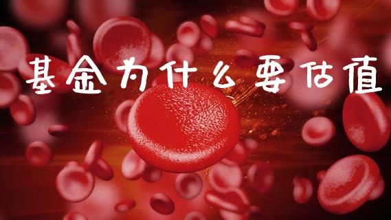 基金为什么要估值_https://www.apanben.com_国际财经_第1张
