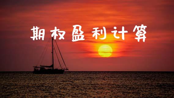 期权盈利计算_https://www.apanben.com_股票怎么玩_第1张