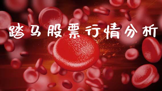 踏马股票行情分析_https://www.apanben.com_股市分析_第1张