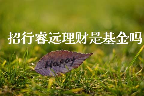 招行睿远理财是基金吗_https://www.apanben.com_国际财经_第1张