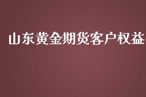 山东黄金期货客户权益_https://www.apanben.com_期货学院_第1张