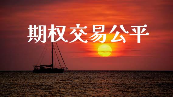 期权交易公平_https://www.apanben.com_国际财经_第1张