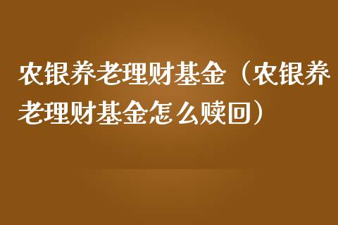 农银养老理财基金（农银养老理财基金怎么赎回）_https://www.apanben.com_国际财经_第1张