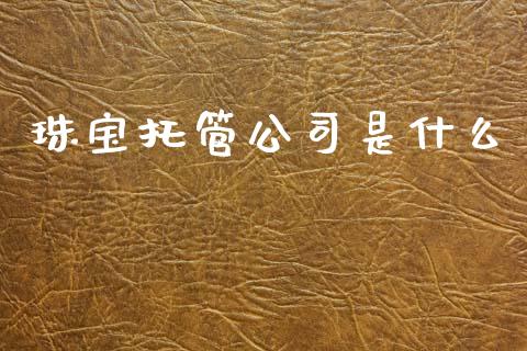 珠宝托管公司是什么_https://www.apanben.com_期货学院_第1张