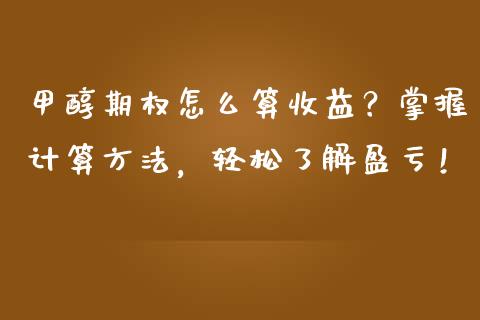甲醇期权怎么算收益？掌握计算方法，轻松了解盈亏！_https://www.apanben.com_国际期货_第1张