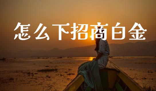 怎么下招商白金_https://www.apanben.com_国际期货_第1张