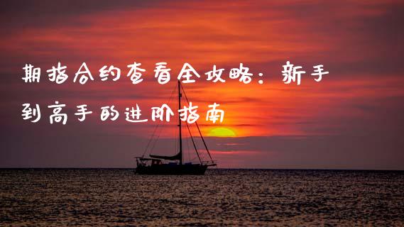 期指合约查看全攻略：新手到高手的进阶指南_https://www.apanben.com_在线喊单_第1张