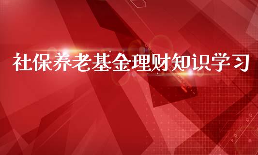 社保养老基金理财知识学习_https://www.apanben.com_国际财经_第1张