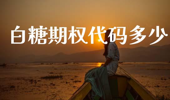 白糖期权代码多少_https://www.apanben.com_国际期货_第1张