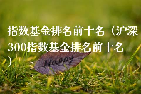 指数基金排名前十名（沪深300指数基金排名前十名）_https://www.apanben.com_期货学院_第1张