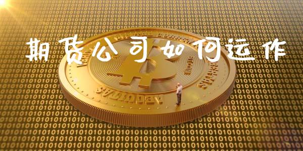 期货公司如何运作_https://www.apanben.com_在线喊单_第1张