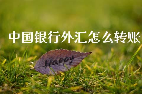中国银行外汇怎么转账_https://www.apanben.com_在线喊单_第1张