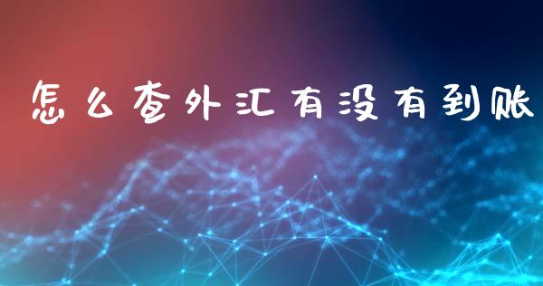 怎么查外汇有没有到账_https://www.apanben.com_期货学院_第1张