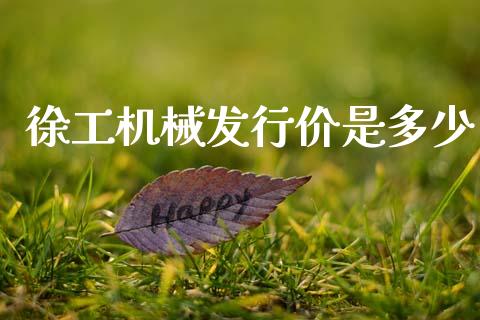 徐工机械发行价是多少_https://www.apanben.com_期货学院_第1张