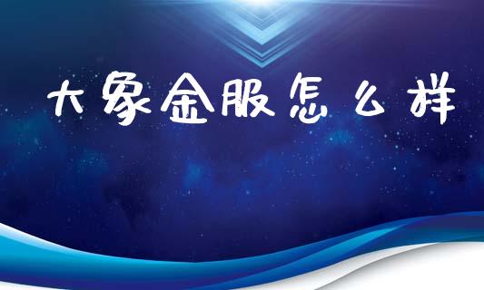 大象金服怎么样_https://www.apanben.com_财经资讯_第1张