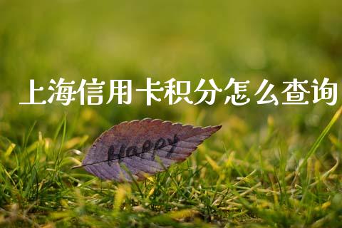 上海信用卡积分怎么查询_https://www.apanben.com_期货学院_第1张