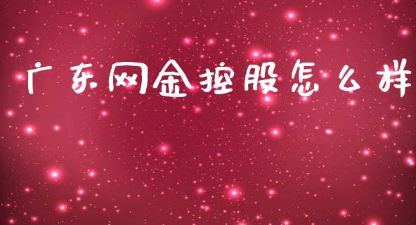 广东网金控股怎么样_https://www.apanben.com_期货学院_第1张