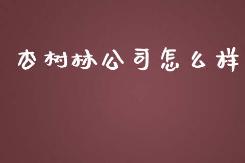 杏树林公司怎么样_https://www.apanben.com_期货学院_第1张