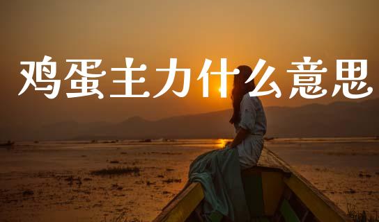 鸡蛋主力什么意思_https://www.apanben.com_财经资讯_第1张