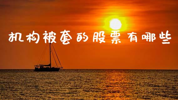 机构被套的股票有哪些_https://www.apanben.com_国际财经_第1张