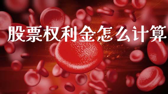股票权利金怎么计算_https://www.apanben.com_期货学院_第1张