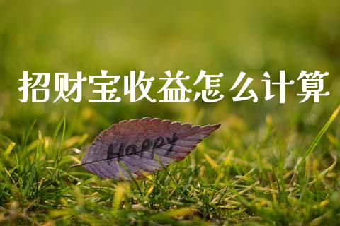 招财宝收益怎么计算_https://www.apanben.com_国际期货_第1张