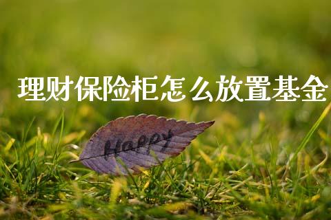 理财保险柜怎么放置基金_https://www.apanben.com_财经资讯_第1张
