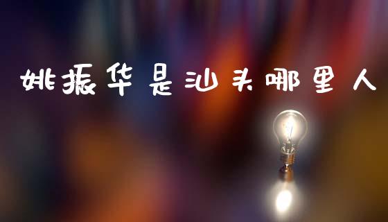 姚振华是汕头哪里人_https://www.apanben.com_国际财经_第1张