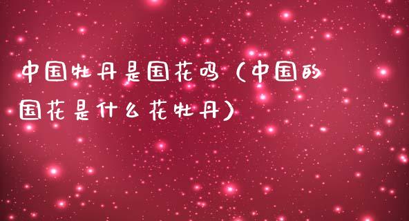 中国牡丹是国花吗（中国的国花是什么花牡丹）_https://www.apanben.com_国际期货_第1张
