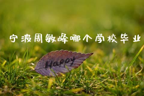 宁波周敏峰哪个学校毕业_https://www.apanben.com_财经资讯_第1张
