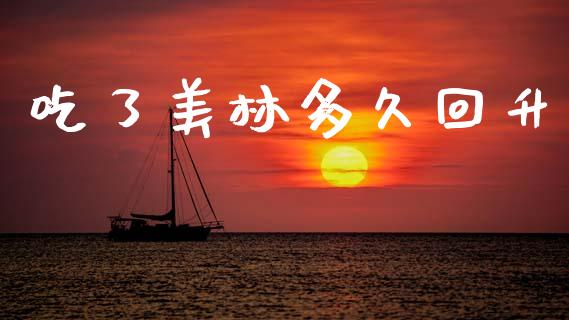 吃了美林多久回升_https://www.apanben.com_国际期货_第1张