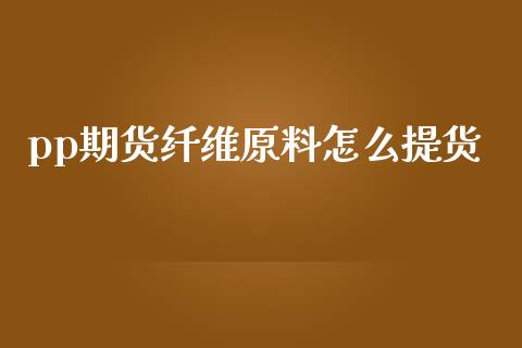 pp期货纤维原料怎么提货_https://www.apanben.com_财经资讯_第1张