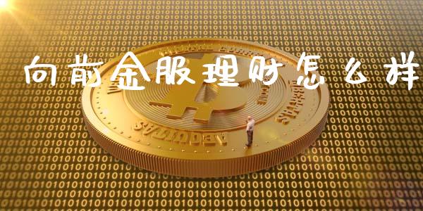 向前金服理财怎么样_https://www.apanben.com_国际财经_第1张