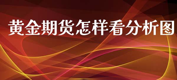 黄金期货怎样看分析图_https://www.apanben.com_国际期货_第1张