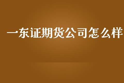 一东证期货公司怎么样_https://www.apanben.com_股票怎么玩_第1张