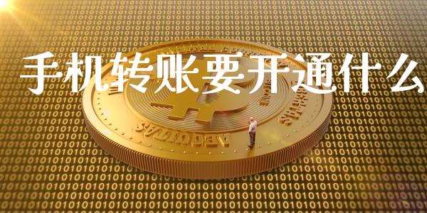 手机转账要开通什么_https://www.apanben.com_在线喊单_第1张