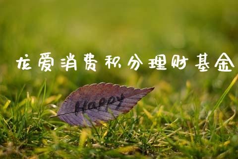 龙爱消费积分理财基金_https://www.apanben.com_财经资讯_第1张