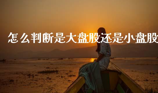 怎么判断是大盘股还是小盘股_https://www.apanben.com_股市分析_第1张