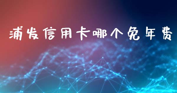 浦发信用卡哪个免年费_https://www.apanben.com_国际期货_第1张