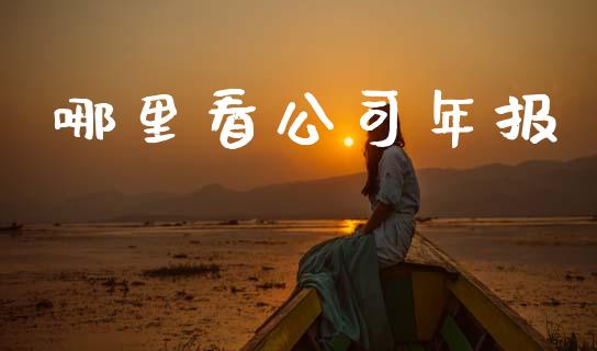 哪里看公司年报_https://www.apanben.com_在线喊单_第1张