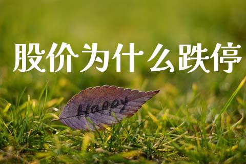 股价为什么跌停_https://www.apanben.com_财经资讯_第1张