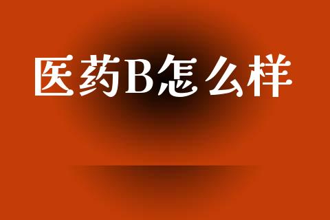 医药B怎么样_https://www.apanben.com_在线喊单_第1张