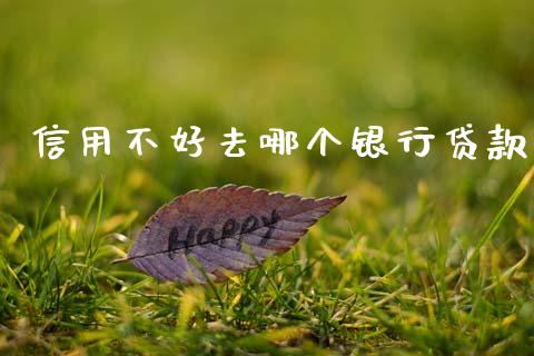 信用不好去哪个银行贷款_https://www.apanben.com_股市分析_第1张