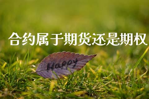 合约属于期货还是期权_https://www.apanben.com_期货学院_第1张