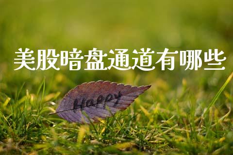 美股暗盘通道有哪些_https://www.apanben.com_期货学院_第1张