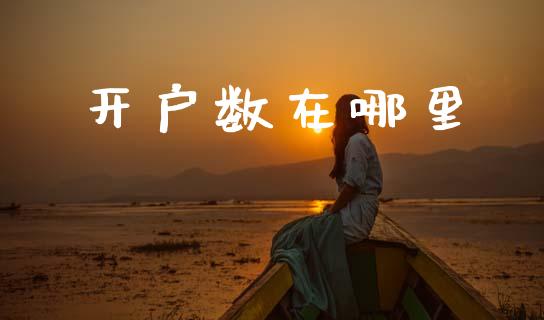 开户数在哪里_https://www.apanben.com_期货学院_第1张