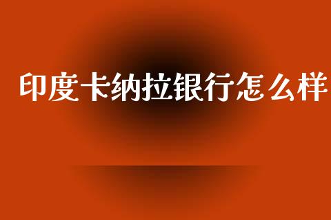 印度卡纳拉银行怎么样_https://www.apanben.com_财经资讯_第1张