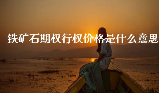 铁矿石期权行权价格是什么意思_https://www.apanben.com_国际财经_第1张